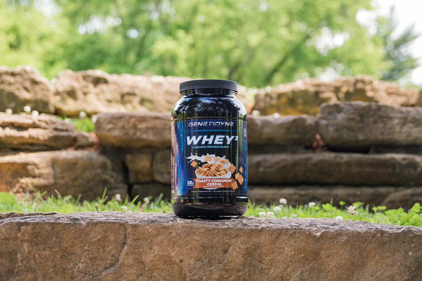 Whey3 (Premium 3 Source Protein Blend)
